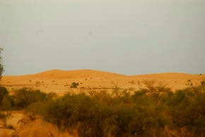 vu de la terrace de Sahara Passion