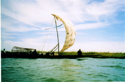 Sailboat on the Niger River