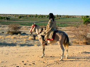 Visiting agricultual sites on horseback