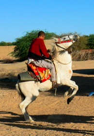 Oumar shows off on his horse