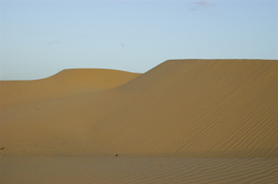 Dunes to the north of Timbuktu